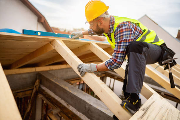 Roof Gutter Cleaning in Lake Mills, WI